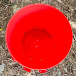 অটোমেটিক কাপ ড্রিংকার ১০ কাপ - প্রিমিয়াম বালতি ৩০ লিটার