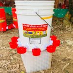 অটোমেটিক কাপ ড্রিংকার ১০ কাপ – সাধারণ বালতি ২০ লিটার