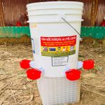 অটোমেটিক কাপ ড্রিংকার ৬ কাপ – সাধারণ বালতি ২০ লিটার