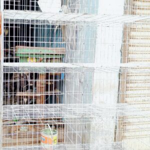 কাস্টমাইজড খাঁচা ১০টি