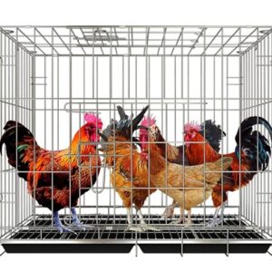 দেশি মুরগির খাঁচা