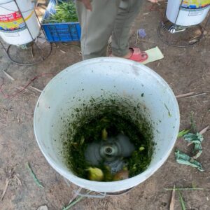 মাল্টিফাংশনাল ফিড ও সবজি কাটার মেশিন (Multifunctional Feed & Vegetable Cutter Machine)