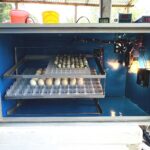 ৩৫২ ডিমের জাপানি শিট মিনি সুপার ইনকিউবেটর STC1000 এসি ও ৩০০১ ডিসি কন্ট্রোলার