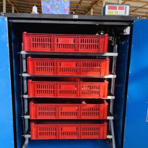 ৫০০ সেটার ৫০০ জাপানি স্টিল সুপার ডুয়াল সিস্টেম ইনকিউবেটর