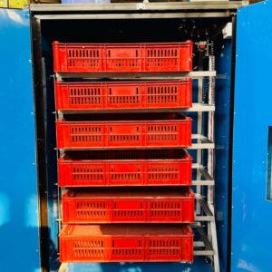 ৬০০ সেটার ৬০০ জাপানি স্টিল সুপার ডুয়াল সিস্টেম ইনকিউবেটর